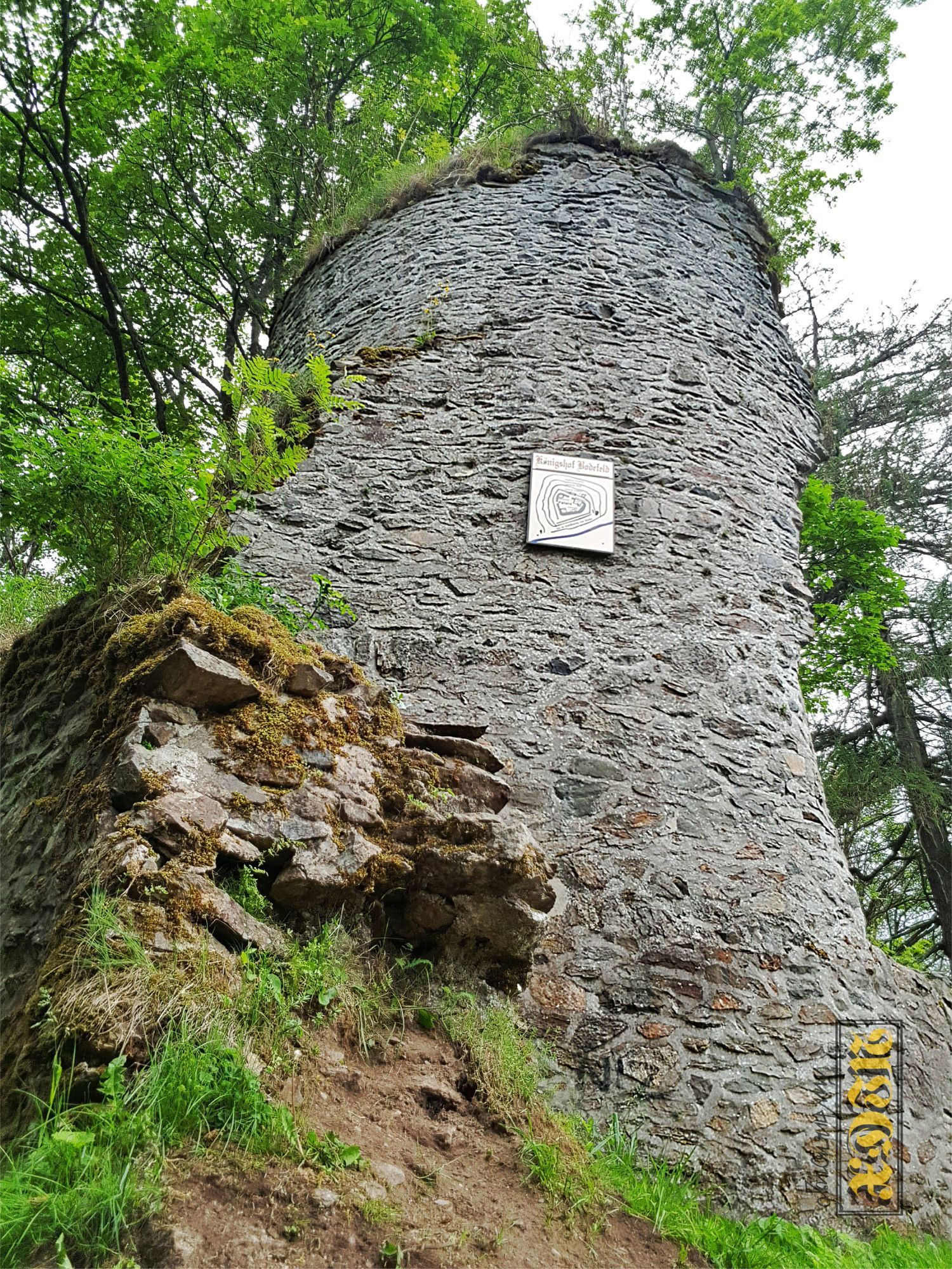 Ruine Königsburg – Alex Unterwegs